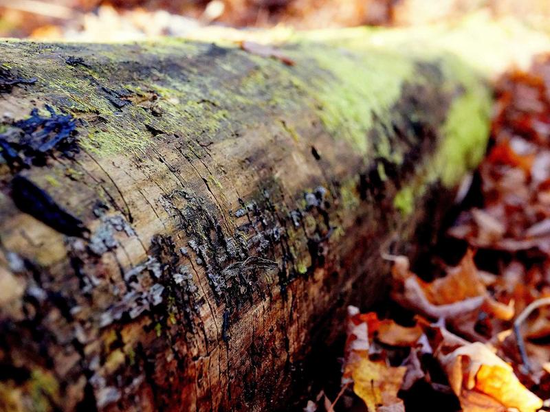 sudoku cross platform screenshot 4