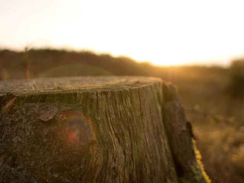 sudoku sound effects screenshot 3